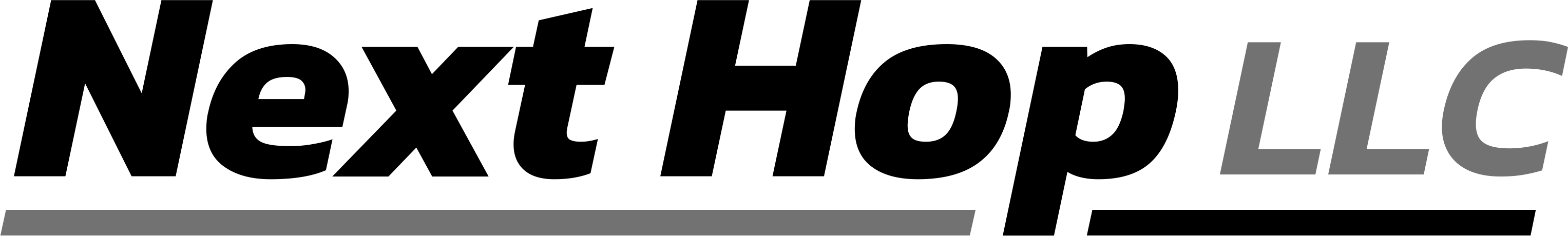 Next Hop LLC logo, light mode